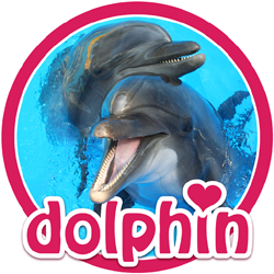 Dolphins